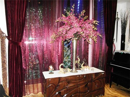 Nhà của Mr Đàm sắp lên báo nước ngoài - 14