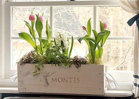 Mẹo hay trang trí nhà đẹp