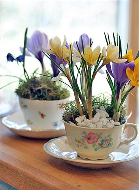 Mẹo hay trang trí nhà đẹp 