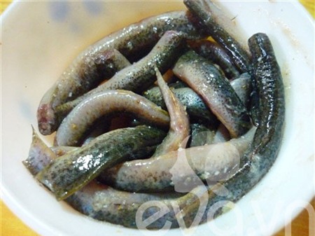 Cơm ngon với chạch đồng rang muối - 2