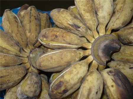 Những món ăn vặt Việt độc đáo - 3