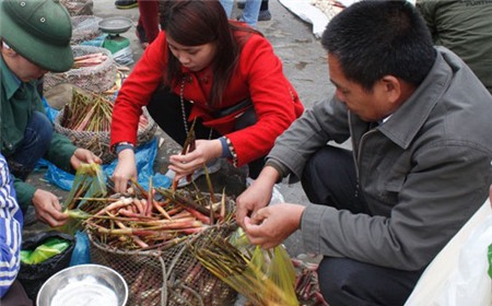 Những món ăn tuyệt vời từ măng khắp miền đất nước 12