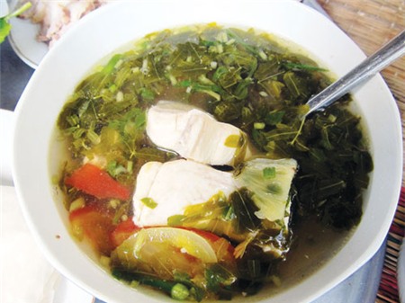 Cá nhám nấu nhiều món ngon, Ẩm thực, ca nham, mon ngon tu ca nham, ca nham nau canh chua, ca nham kho dua mon, canh chua ca nham, gan ca, am thuc, mon ngon de lam, mon ngon