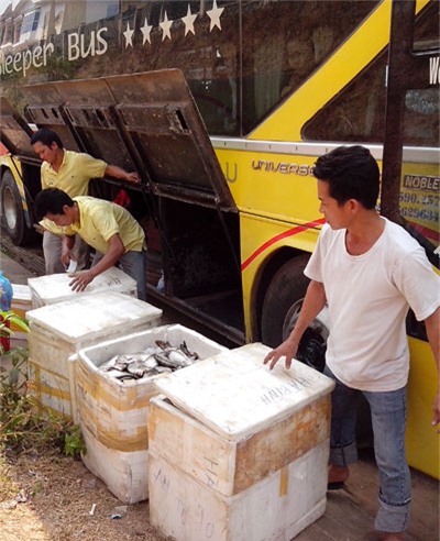 Tang vật bị thu giữ