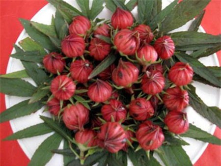 Lạ vị trái giấm nấu canh chua tép, Ẩm thực, trai giam, giam, trai giam nau canh chua tep, canh chua tep nau giam, tep bac, tep dat, tep, am thuc, mon ngon de lam, mon ngon