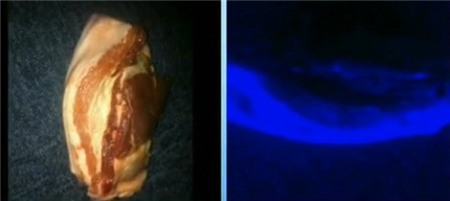 Thịt lợn phát quang ở Trung Quốc, Phi thường - kỳ quặc, chuyen la, chuyen la trung quoc, thit lon, thit lon phat quang, tin tuc