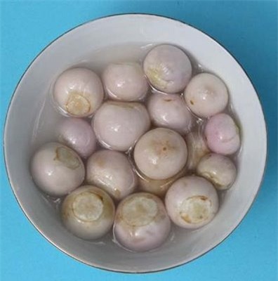 Các món ngon từ cà pháo - 1