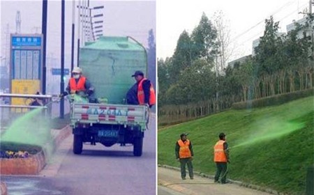 Trung Quốc: Phun thuốc nhuộm xanh cỏ - 1
