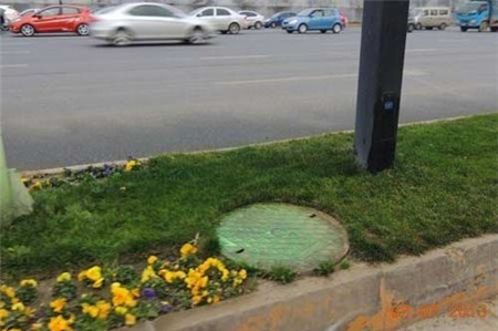 Trung Quốc: Phun thuốc nhuộm xanh cỏ - 2