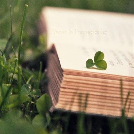 Ngược nắng, ngược gió 3