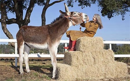 10 kỷ lục lạ lùng nhất thế giới, Phi thường - kỳ quặc, ky luc the gioi, ky luc, ky la, chuyen la, co that, tin tuc, vong 1 khung nhat, nhieu hinh xam nhat, long tai dai nhat, luoi dai nhat