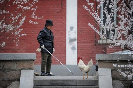 Nhiều nước láng giềng lo ngại khi chủng cúm gia cầm mới xuất hiện&nbsp;ở Trung Quốc.