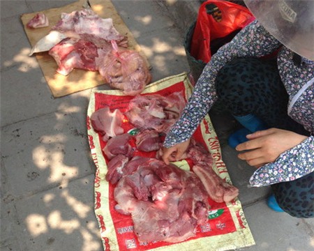 Những tảng thịt đã đổi màu cùng ruồi bọ bu quanh (Ảnh: Nguyễn
Lê)