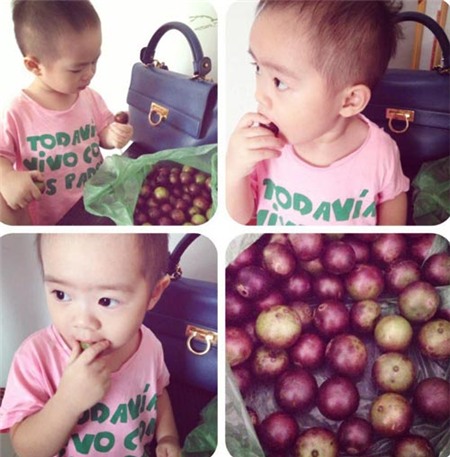 Ngắm bà xã và con trai đáng yêu của Lý Hải - 9