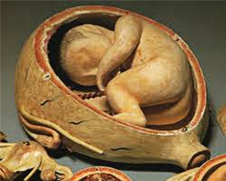 5 cách thử thai kỳ lạ thời xa xưa 4