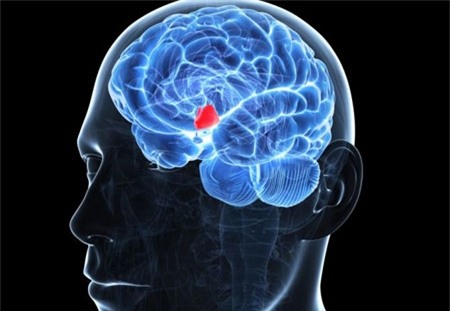 chìa khóa, trẻ mãi không già, cải lão hoàn đồng, lão hóa