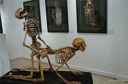 Đỏ mặt với những bảo tàng tình dục