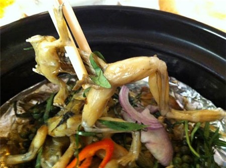 Nhái tranh bàn ăn với ếch, Ẩm thực, nhai, mon an tu nhai, mon an tu ech, ech, mon ngon moi ngay, nau an, mon ngon, nau an ngon, mon ngon de lam, am thuc viet nam, day nau an, mon an ngon, mon ngon cuoi tuan, mon an hang ngay,day nau an ngon, nau an moi ngay, nau an ngon moi ngay, am thuc viet, am thuc