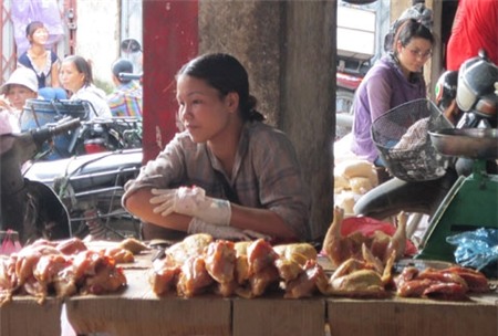 gà, gia cầm, chợ, tiểu thương, ngán ngẩm, lo sợ