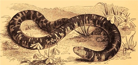 Quái vật và ma quỷ trong truyền thuyết khiến bạn lạnh gáy 3