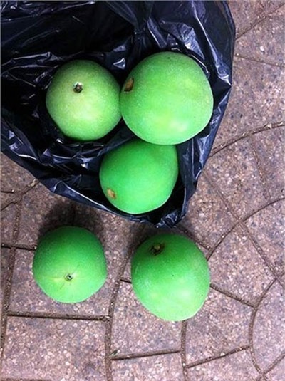 thực phẩm bẩn, phù phép, công nghệ, phẩm màu, ung thư, hóa chất, tạo màu, người tiêu dùng