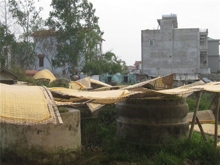 thực phẩm bẩn, phù phép, công nghệ, phẩm màu, ung thư, hóa chất, tạo màu, người tiêu dùng