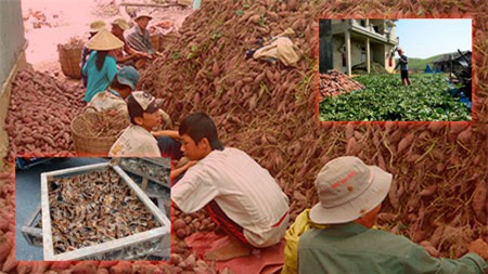 Việt Nam - nguy cơ trở thành “bãi phế thải” của Trung Quốc