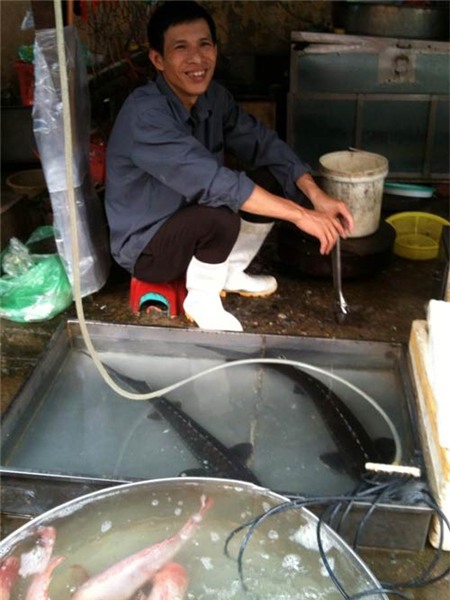 Thực phẩm TQ liên tục 'gây bão', Thị trường - Tiêu dùng, thuc pham ban, ca tam TQ, ech TQ, ca tre TQ, thit bo TQ gia Uc My, noi tang ngam hoa chat, can than thuc pham TQ, bat giu, hai suc khoe, doc hai