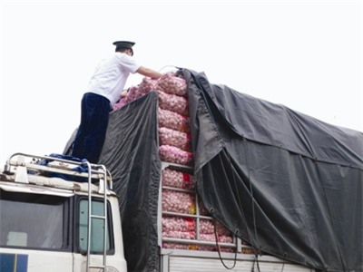 Cán bộ kiểm dịch lấy mẫu tỏi kiểm tra ATTP ở cửa khẩu Tân Thanh (Lạng Sơn). Ảnh: Phạm Anh.