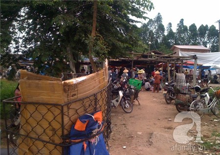 Hãi hùng xem dân buôn 