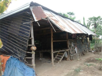 Bàng hoàng những vụ án