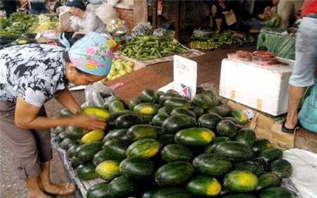giải nhiệt, nắng nóng, gay gắt, bán chạy, đắt như tôm tươi