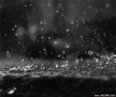 Dưới mưa chờ người!