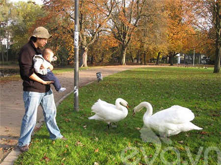 Gặp lại Nam của 