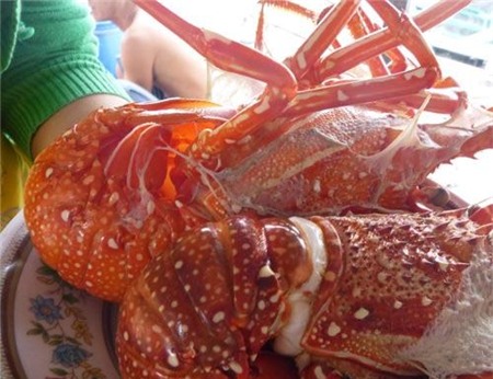 Về đảo Bình Ba hoang sơ tuyệt đẹp - 12