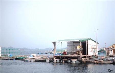Về đảo Bình Ba hoang sơ tuyệt đẹp - 5