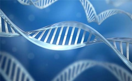 con người, hủy diệt, nguy cơ, tồn vong, công nghệ, sinh học, hóa học,