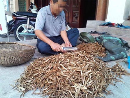 Lợn tai xanh, chuột bao tử, thạch đen, siêu bẩn, Metro, kem Tràng Tiền nhái, thuốc kích dục