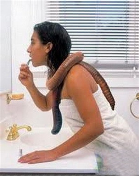 Kỳ quặc cô gái nuôi giun khổng lồ dài 2m làm thú cưng 4