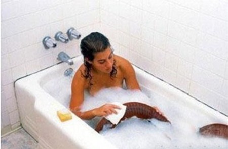 Kỳ quặc cô gái nuôi giun khổng lồ dài 2m làm thú cưng 5