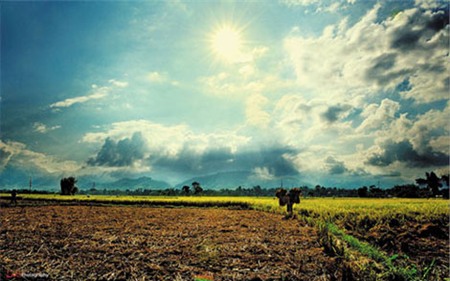 Ngọt bùi sắn đập, Ẩm thực, san dap, san, cu san, quay san dap, sot banh, mon ngon moi ngay, nau an, mon ngon, nau an ngon, mon ngon de lam, am thuc viet nam, day nau an, mon an ngon, mon ngon cuoi tuan, mon an hang ngay,day nau an ngon, nau an moi ngay, nau an ngon moi ngay, am thuc viet, am thuc