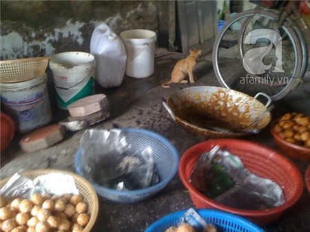 Hãi hùng với công nghệ chế biến thực phẩm... siêu bẩn 1