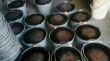 Hãi hùng với công nghệ chế biến thực phẩm... siêu bẩn 5