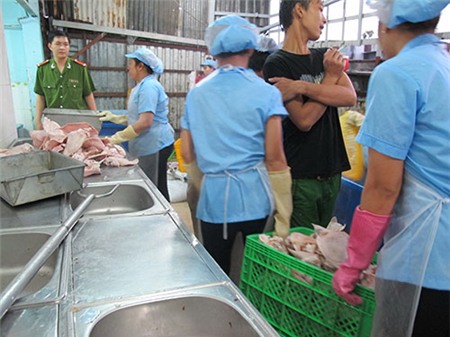 Lò đun nhựa thông để làm mềm lông heo