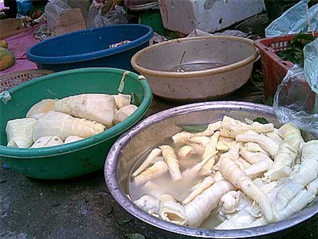 Kinh hoàng công nghệ 