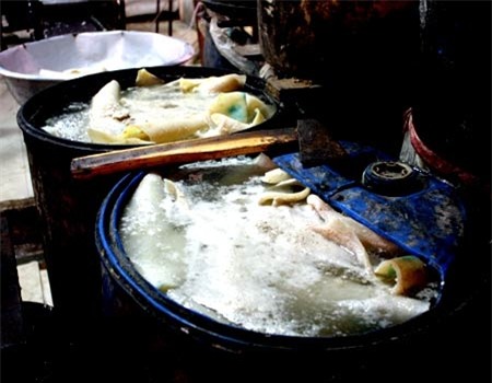 Kinh hoàng công nghệ
