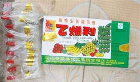 mít non, ủ chín trái cây, chín ép, hóa chất