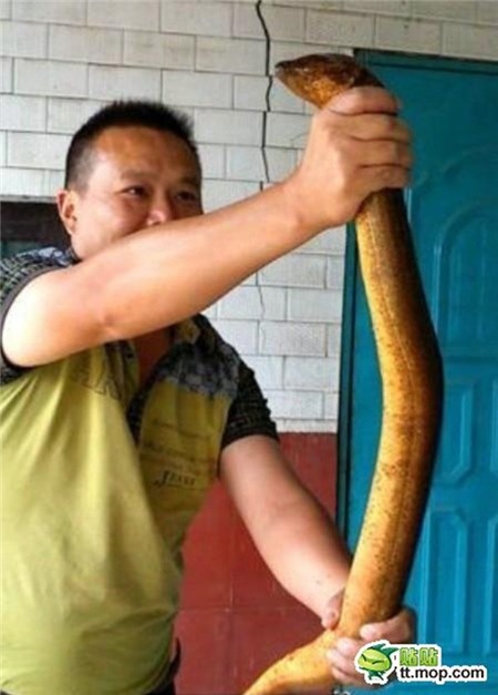 Bắt được