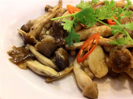 Nấm mối – của trời cho!, Ẩm thực, nam moi, nam, moi, mon ngon moi ngay, nau an, mon ngon, nau an ngon, mon ngon de lam, am thuc viet nam, day nau an, mon an ngon, mon ngon cuoi tuan, mon an hang ngay,day nau an ngon, nau an moi ngay, nau an ngon moi ngay, am thuc viet, am thuc