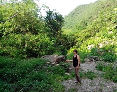 Một khu đất trang trại đang chào bán với mức giá siêu rẻ. Ảnh: Ngọc Dương - VTC News